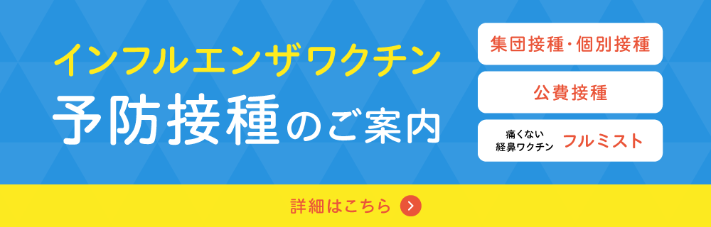 インフルエンザワクチン予防接種のご案内　集団接種・個別接種／公費接種／痛くない経鼻ワクチン フルミスト