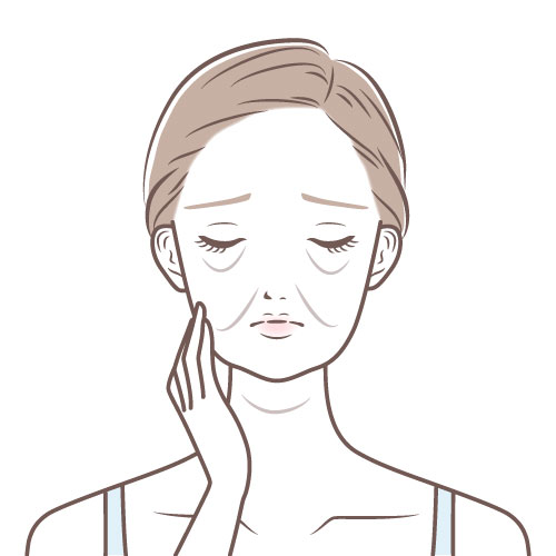 肌のハリ・小じわ